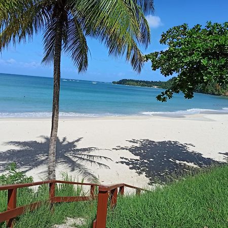 F3 Au Calme Vue Sur Mer 2 Chambres Balcon Terrasse Trinite  Exterior foto